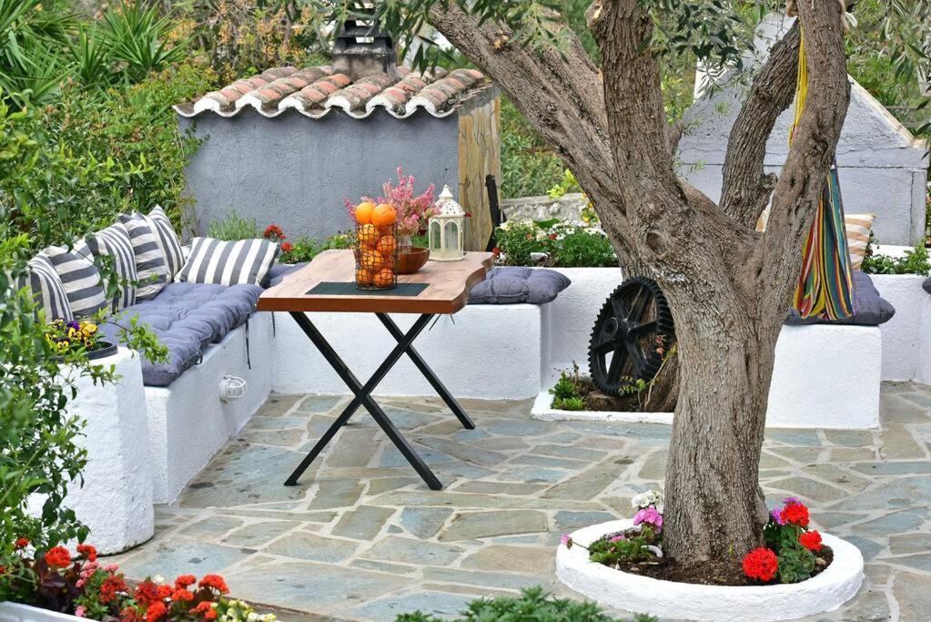 Olivo Ii Luxury *